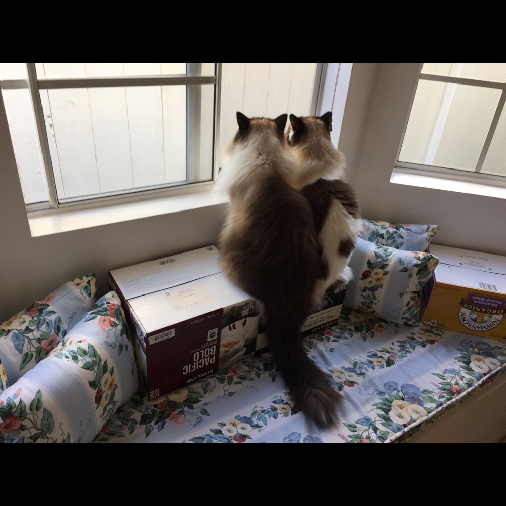 Meet your Posher, Deb